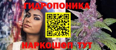гашиш Новодвинск