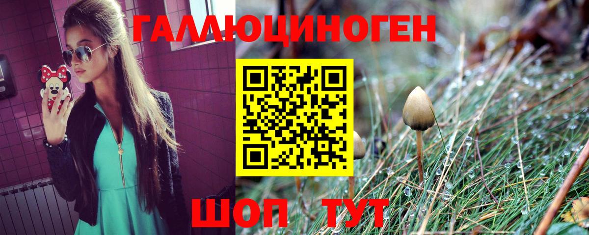 Псилоцибиновые грибы MAGIC MUSHROOMS  Псилоцибиновые грибы Psilocybine cubensis  Сургут  Вход с VPN 