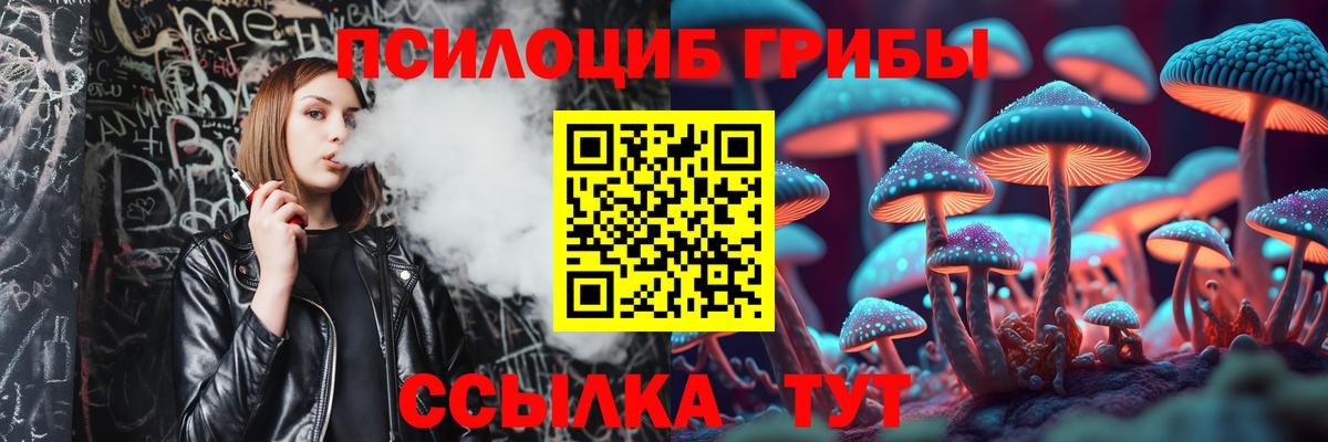 Галлюциногенные грибы Cubensis Сургут